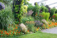 Bed with Achillea Feuerland, Tropaeolum majus, Nassella tenusissima, Stipa tenuissima, Salvia sylvestris Blauhügel, Clematis Etoile Violette, Hemerocallis Stafford 