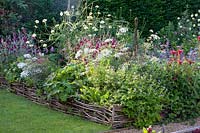 Annuals and perennials, Ammi majus, Lychnis coronaria Gardener's World,Scabiosa ochroleuca,Geranium pyrenaicum Bill Wallis,Monarda 