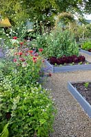 Vegetable garden and perennial bed, Lactuca sativa Lollo Rosso, Pisum sativum Carouby de Maussane, Monarda, Ammi majus, Geranium pyrenaicum Bill Wallis, Scabiosa ochroleuca 
