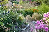 Gravel garden with Nassella tenuissima, Stipa tenuissima, Phlox paniculata Bright Eyes, Gaura lindheimeri Whirling Butterflies, Echinacea purpurea White Swan, Helenium Sahin's Early Flowerer, Molinia arundinacea Transparent, Echinops ritro Veitch's Blue 