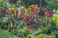 Lobelia fulgens Roter Turm,Pennisetum glaucum Purple Majesty,Amaranthus cruentus Velvet Curtains,Dahlia Honka Red,Zinnia elegans Scarlet Flame, Ricinus communis Carmencita,Nicotiana sylvestris,Salvia farinacea Victoria, Salvia coccinea Scarlet Sage,Beta vulgaris Vulkan,Gladiolus hortulanus Flevo Vito,Canna indica Schwabenstolz, 