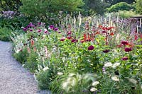 Zinnia elegans Royal Purple, Zinnia elegans Benarys Giant Wine Red, Cosmos peucedanifolius Flamingo, Salvia farinacea Silver, Penstemon hartwegii Giganteus, Tanacetum parthenium Tetraweiss, Pennisetum villosum, Verbena bonariensis, Pennisetum macrourum, Zinnia elegans Limette, Scabiosa atropurpurea Chile Black 