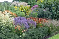 Bed with Helianthus decapetalus Capenoch Star, Agastache Blue Fortune, Crocosmia Limpopo, Helenium Kupferzwerg, Artemisia lactiflora, Pennisetum alopecuroides Hameln 