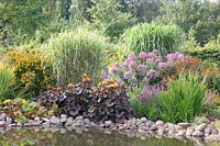 Pond bank with perennials, Darmera peltata, Crocosmia Lucifer, Helenium, Ligularia dentata, Eupatorium fistulosum giant umbrella, Miscanthus 