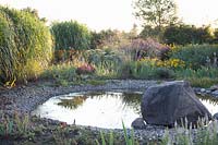 Pond in the evening light, Miscanthus, Stipa gigantea, Eupatorium fistulosum giant umbrella 