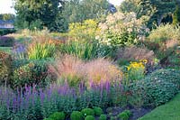 Sporobolus heterolepis, Salvia nemorosa Dancer, Rudbeckia fulgida, Eupatorium fistulosum, Helenium 