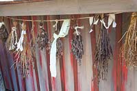 Drying herbs and seeds 