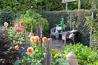 Seating area in the vegetable garden, Brassica oleracea Redbor, Dahlia, Tropaeolum majus 