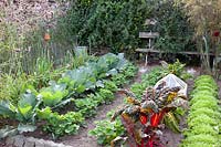Vegetable garden in autumn, Allium porrum, Brassica oleracea, Fragaria, Beta vulgaris, Cichorium endivia 
