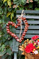 Heart-shaped wreath of chestnuts, Aesculus hippocastanum 