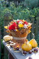 Bouquet of flowers in a vase wrapped with oak leaves, Quercus rubra, Dahlia, Aster, Calendula, Malus, Cucurbita pepo 