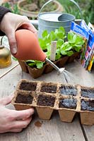 Sowing lettuce in seed pots, step by step, step 6, watering the seeds 