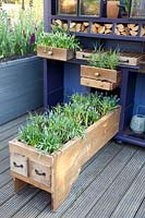 Planted cabinet with drawers 