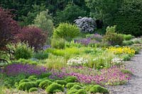 Gravel garden, Phuopsis stylosa, Satureja hortensis Compactum, Nasella tenuissima, Kolkwitzia, Berberis thunbergii, Allium moly, Pulsatilla, Salvia nemorosa, Allium Globemaster 