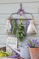 Dry herbs, Lavandula officinalis Melissa Lilac, Mentha, Rosmarinus 