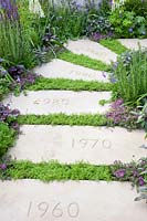 Small garden with running chamomile in paving joints, Anthemis nobilis, Thymus serpyllum 