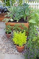 Small vegetable garden with raised bed 