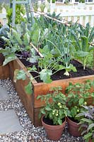 Small vegetable garden with raised bed 