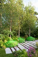 Modern tree bench under birch trees, Betula 