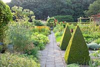 Cottage garden with vegetables and herbs, Buxus, Angelica archangelica 