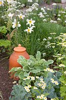 Cottage garden with vegetables and herbs, Allium tuberosum, Lilium regale, Crambe maritima 