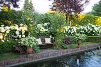 Arbor with sweet peas and hydrangeas, Lathyrus odoratus, Hydrangea arborescens Annabelle 