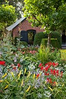 Bed with Macleaya, Crocosmia Lucifer, Erigeron annuus, Hemerocallis 