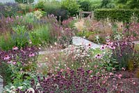 Origanum laevigatum Rose Dome, Echinacea purpurea, Gaura lindheimeri Siskiyou Pink, Achillea millefolium Apple Blossom 