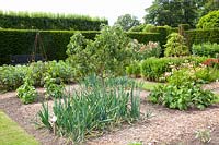 Vegetable garden 