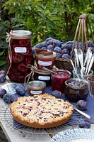 Plums in port wine, plum chutney, plum puree, plum jam, plum mustard, plum cake, Prunus domestica Cacaks Schoene 
