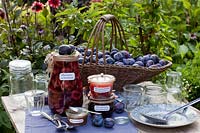 Plums in port wine, plum chutney, plum jam, plum mustard, Prunus domestica Cacaks Schoene 