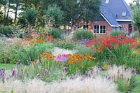 Garden with perennials and grasses, Stipa gigantea, Nasella tenuissima, Helenium Luc, Crocosmia Lucifer, Liatris pycnostachya 