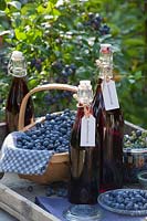Blueberry syrup and blueberry juice, Vaccinium corymbosum Legacy; 