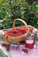 Basket with currants and bottle with currant vinegar, Ribes rubrum 