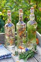 Herbal vinegar in bottles 