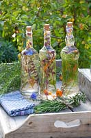 Herbal vinegar in bottles 