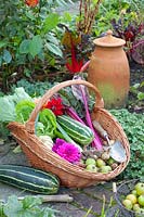Vegetables in the harvest basket 