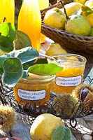 Quince chutney and quince jam, Cydonia oblonga 
