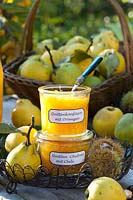 Quince chutney with chilli and quince jam with oranges, Cydonia oblonga 