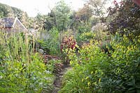 Bed with annuals, perennials and grasses 