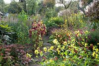 Bed with annuals, perennials and grasses 