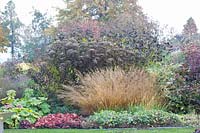 Bed in autumn, Molinia caerulea Poul Petersen, Eupatorium, Podophyllum Spotty Dotty, Heuchera Peach Flambe 