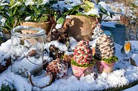 Cones with fatty food and holly berries for birds 