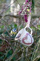 Cup with bird food and blue tit 