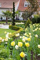 Tulipa Maja, Tulipa Verona, Tulipa Francoise, Tulipa Ivory Floradale, Fritillaria persica Ivory Bells 