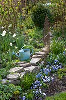 Bed with daffodils, bluebells and violets, Narcissus triandrus Thalia, Scilla siberica, Viola 