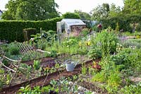 Rural kitchen garden 