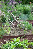 Rural kitchen garden with grass clippings as mulch 