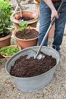 Sow flower meadow in a metal tray, add potting soil to the tray 