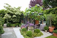 Small Orangery, Cornus kousa, Ficus carica 